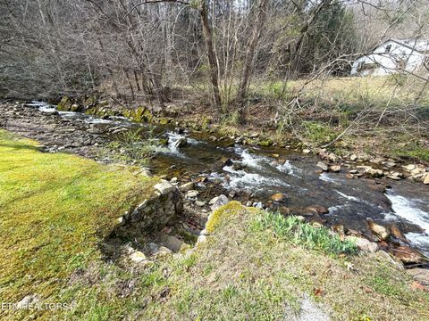 Tiny photo for 1059 Blue Mill Rd, Del Rio, TN 37727 (MLS # 1333754)