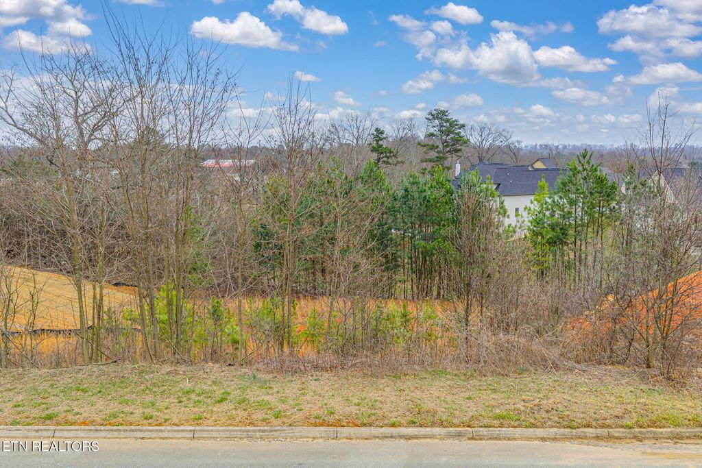 Photo of 12212 Stone House Lane, Knoxville, TN 37934 (MLS # 1330985)