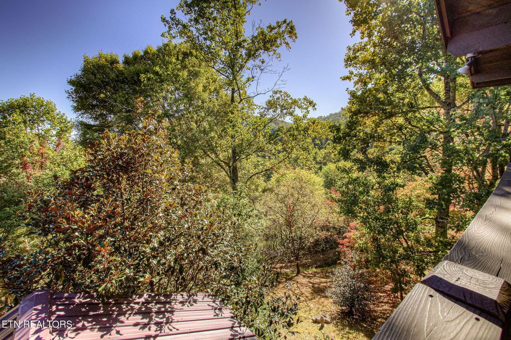 Photo of 2409 Walnut Cove Way, Sevierville, TN 37862 (MLS # 1332445)