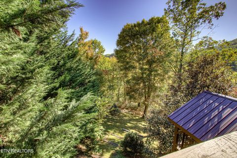 Tiny photo for 2409 Walnut Cove Way, Sevierville, TN 37862 (MLS # 1332445)