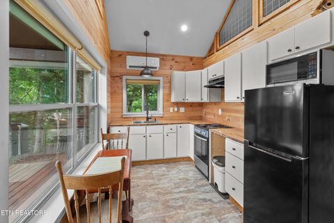 Tiny photo for 3517 Needles Way, Sevierville, TN 37876 (MLS # 1340755)