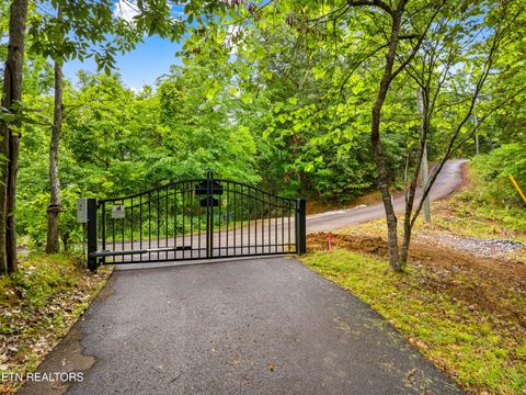 Tiny photo for 3517 Needles Way, Sevierville, TN 37876 (MLS # 1340755)