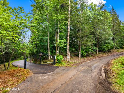 Tiny photo for 3517 Needles Way, Sevierville, TN 37876 (MLS # 1340755)