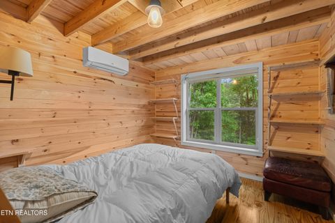 Tiny photo for 3517 Needles Way, Sevierville, TN 37876 (MLS # 1340755)
