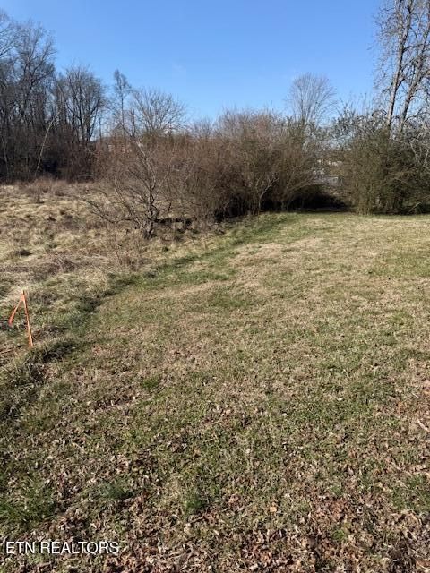 Tiny photo for 320 Hicks St, Athens, TN 37303 (MLS # 1327843)