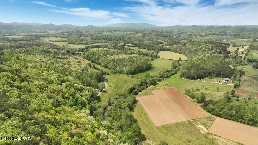 Photo of 249 Highlands, Tellico Plains, TN 37385 (MLS # 1299775)