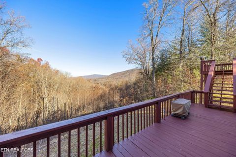 Tiny photo for 414 Gold Rd. Rd, Cosby, TN 37722 (MLS # 1321754)