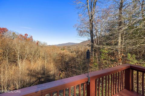 Tiny photo for 414 Gold Rd. Rd, Cosby, TN 37722 (MLS # 1321754)