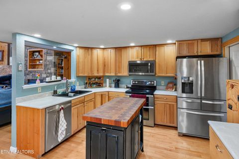 Tiny photo for 414 Gold Rd. Rd, Cosby, TN 37722 (MLS # 1321754)