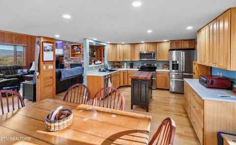 Tiny photo for 414 Gold Rd. Rd, Cosby, TN 37722 (MLS # 1321754)