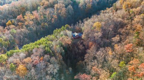 Tiny photo for 414 Gold Rd. Rd, Cosby, TN 37722 (MLS # 1321754)