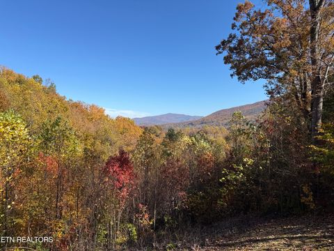 Tiny photo for 414 Gold Rd. Rd, Cosby, TN 37722 (MLS # 1321754)