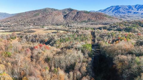 Tiny photo for 414 Gold Rd. Rd, Cosby, TN 37722 (MLS # 1321754)