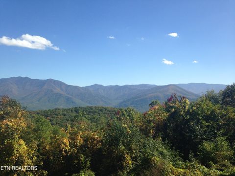 Tiny photo for 414 Gold Rd. Rd, Cosby, TN 37722 (MLS # 1321754)