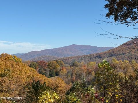 Tiny photo for 414 Gold Rd. Rd, Cosby, TN 37722 (MLS # 1321754)