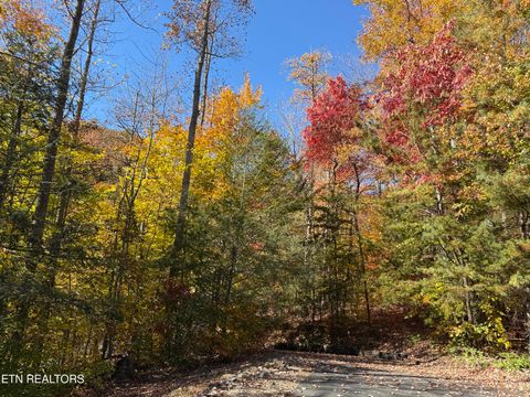 Tiny photo for 414 Gold Rd. Rd, Cosby, TN 37722 (MLS # 1321754)
