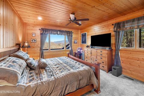 Tiny photo for 414 Gold Rd. Rd, Cosby, TN 37722 (MLS # 1321754)