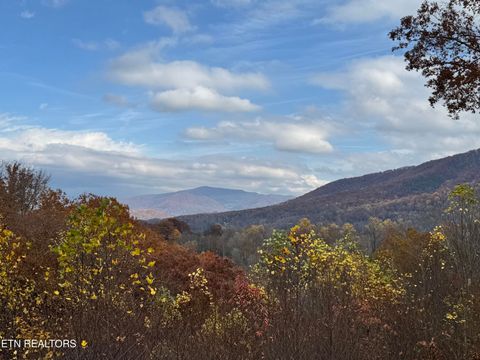 Tiny photo for 414 Gold Rd. Rd, Cosby, TN 37722 (MLS # 1321754)