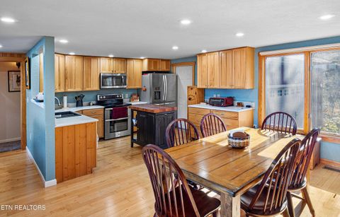 Tiny photo for 414 Gold Rd. Rd, Cosby, TN 37722 (MLS # 1321754)