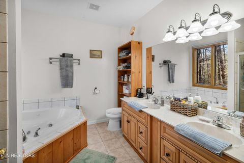 Tiny photo for 414 Gold Rd. Rd, Cosby, TN 37722 (MLS # 1321754)