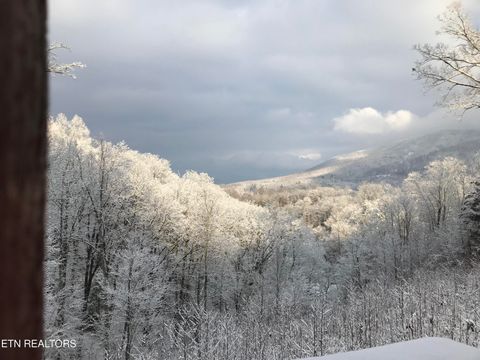 Tiny photo for 414 Gold Rd. Rd, Cosby, TN 37722 (MLS # 1321754)