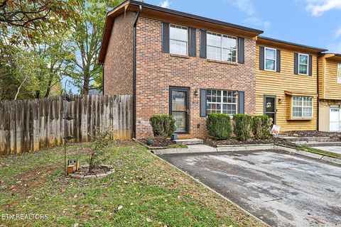 Photo of 1211 Crest Brook Drive, Knoxville, TN 37923 (MLS # 1320297)
