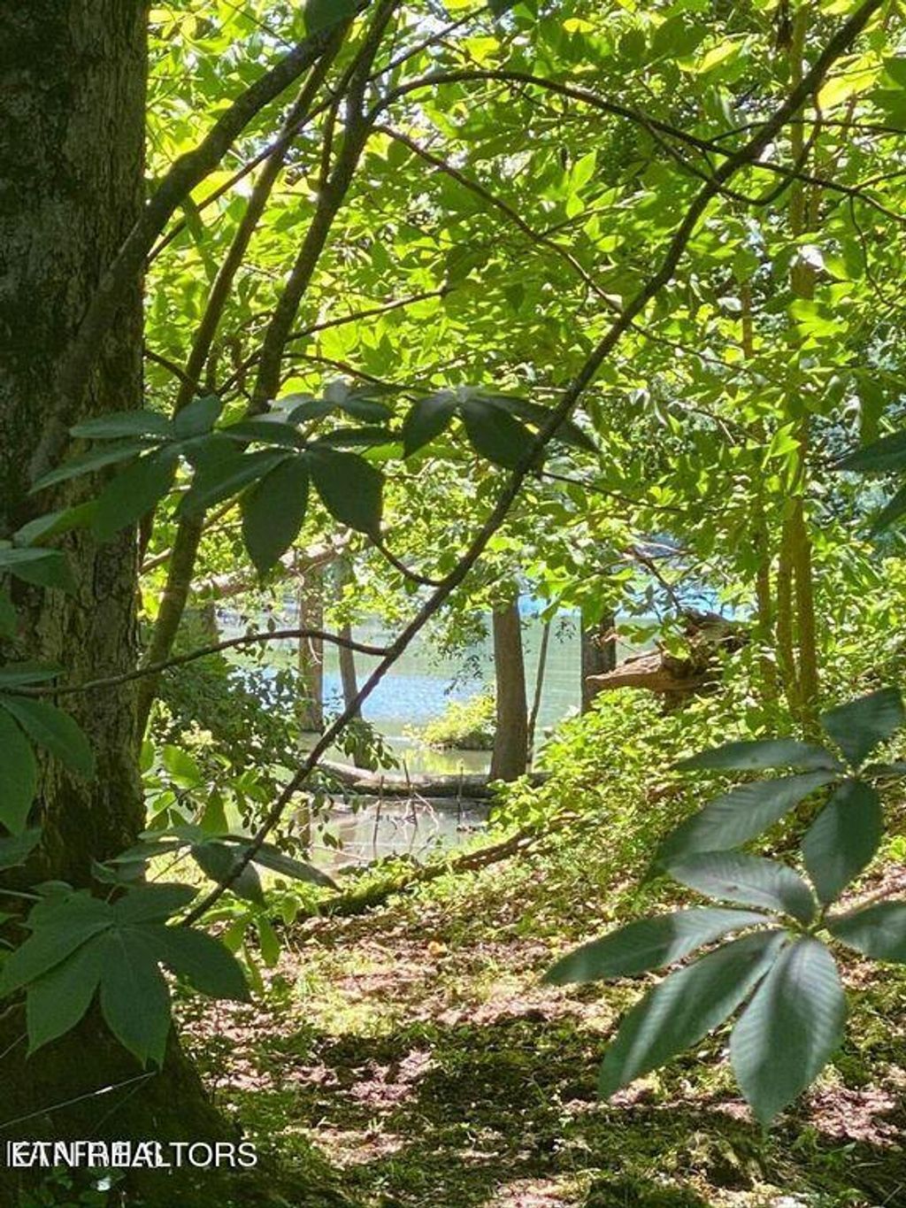 Photo of 8 Chapman Rd, LaFollette, TN 37766 (MLS # 1248175)