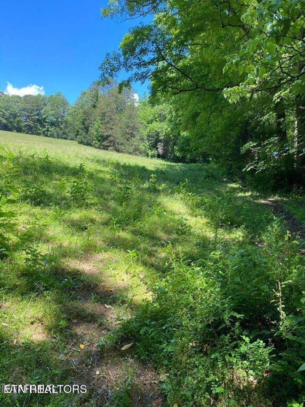 Photo of 8 Chapman Rd, LaFollette, TN 37766 (MLS # 1248175)