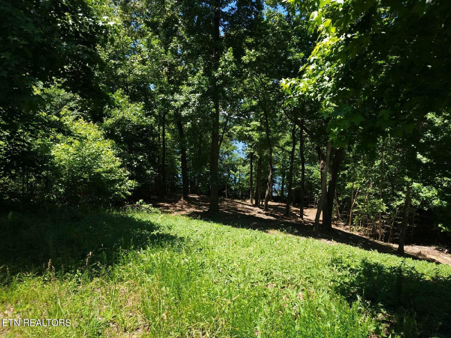 422 W Mountain Drive