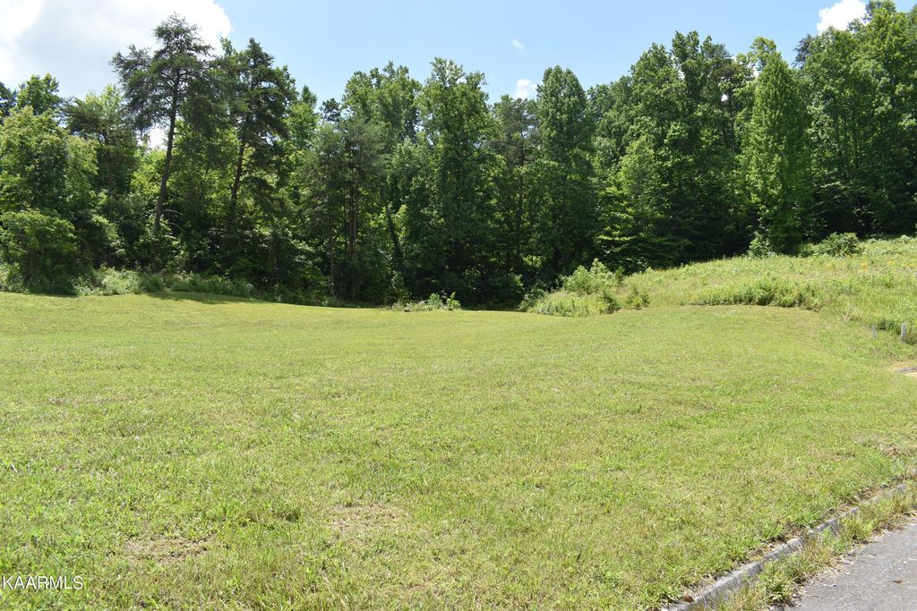 Photo of 8 Briar Ridge Lane, Strawberry Plains, TN 37871 (MLS # 1232850)
