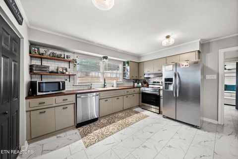 Tiny photo for 448 Woolsey Rd, Harriman, TN 37748 (MLS # 1325828)