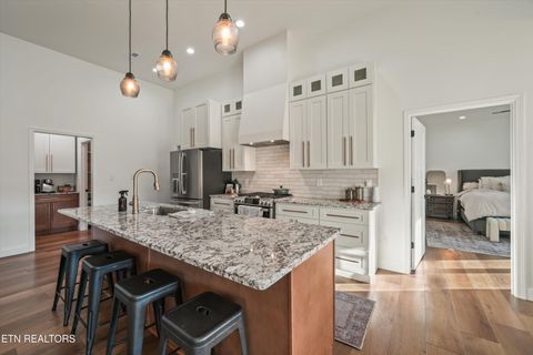 Tiny photo for 2722 River Island Blvd, Kodak, TN 37764 (MLS # 1336544)