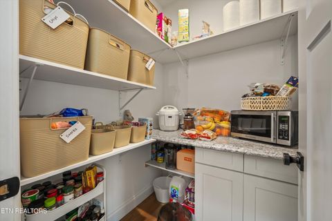 Tiny photo for 2722 River Island Blvd, Kodak, TN 37764 (MLS # 1336544)