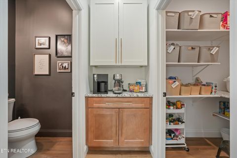 Tiny photo for 2722 River Island Blvd, Kodak, TN 37764 (MLS # 1336544)