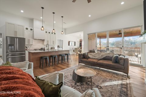 Tiny photo for 2722 River Island Blvd, Kodak, TN 37764 (MLS # 1336544)