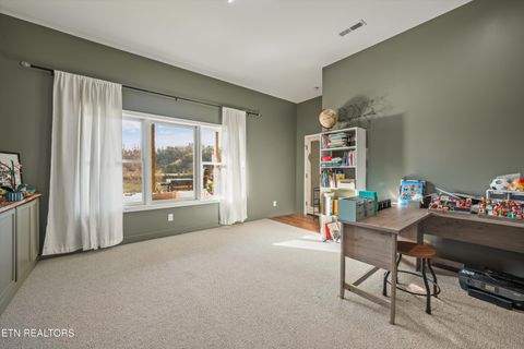 Tiny photo for 2722 River Island Blvd, Kodak, TN 37764 (MLS # 1336544)