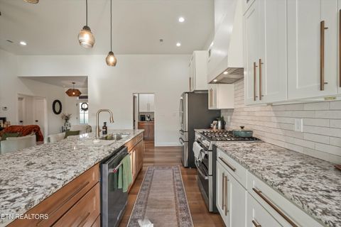 Tiny photo for 2722 River Island Blvd, Kodak, TN 37764 (MLS # 1336544)