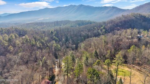 Tiny photo for 316 Laurel Rd, Townsend, TN 37882 (MLS # 1325605)