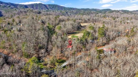 Tiny photo for 316 Laurel Rd, Townsend, TN 37882 (MLS # 1325605)