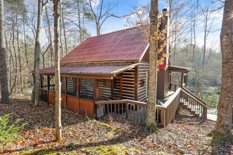Tiny photo for 316 Laurel Rd, Townsend, TN 37882 (MLS # 1325605)