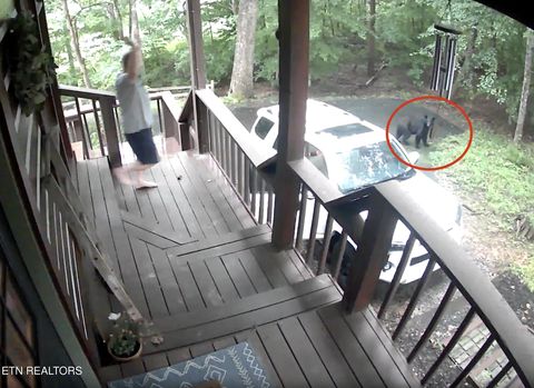 Tiny photo for 316 Laurel Rd, Townsend, TN 37882 (MLS # 1325605)