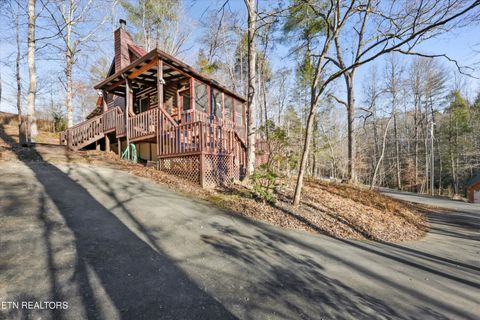 Tiny photo for 316 Laurel Rd, Townsend, TN 37882 (MLS # 1325605)