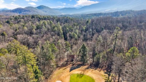 Tiny photo for 316 Laurel Rd, Townsend, TN 37882 (MLS # 1325605)