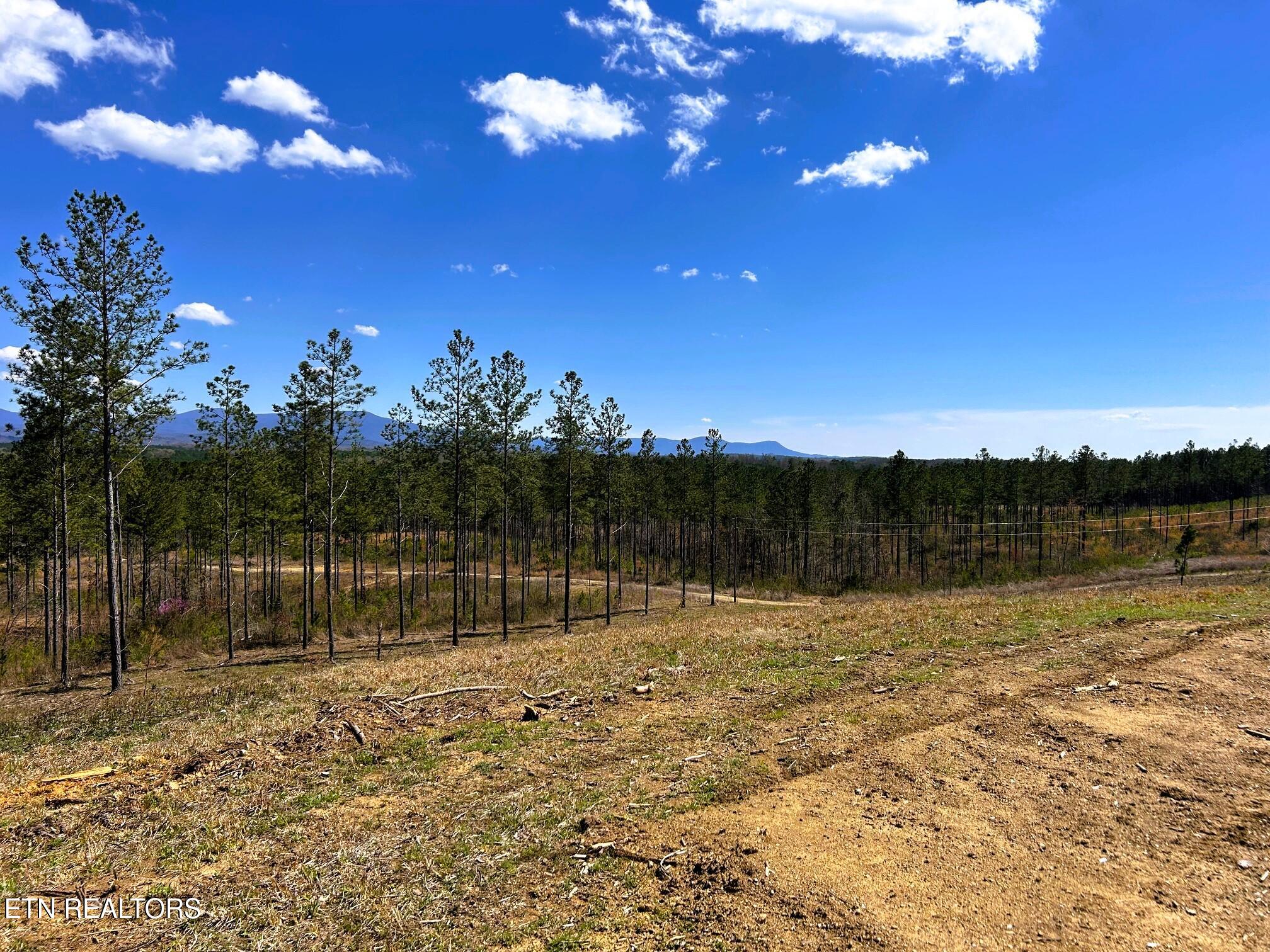 26A Hughes Lake Rd SE, Cleveland, TN 37323