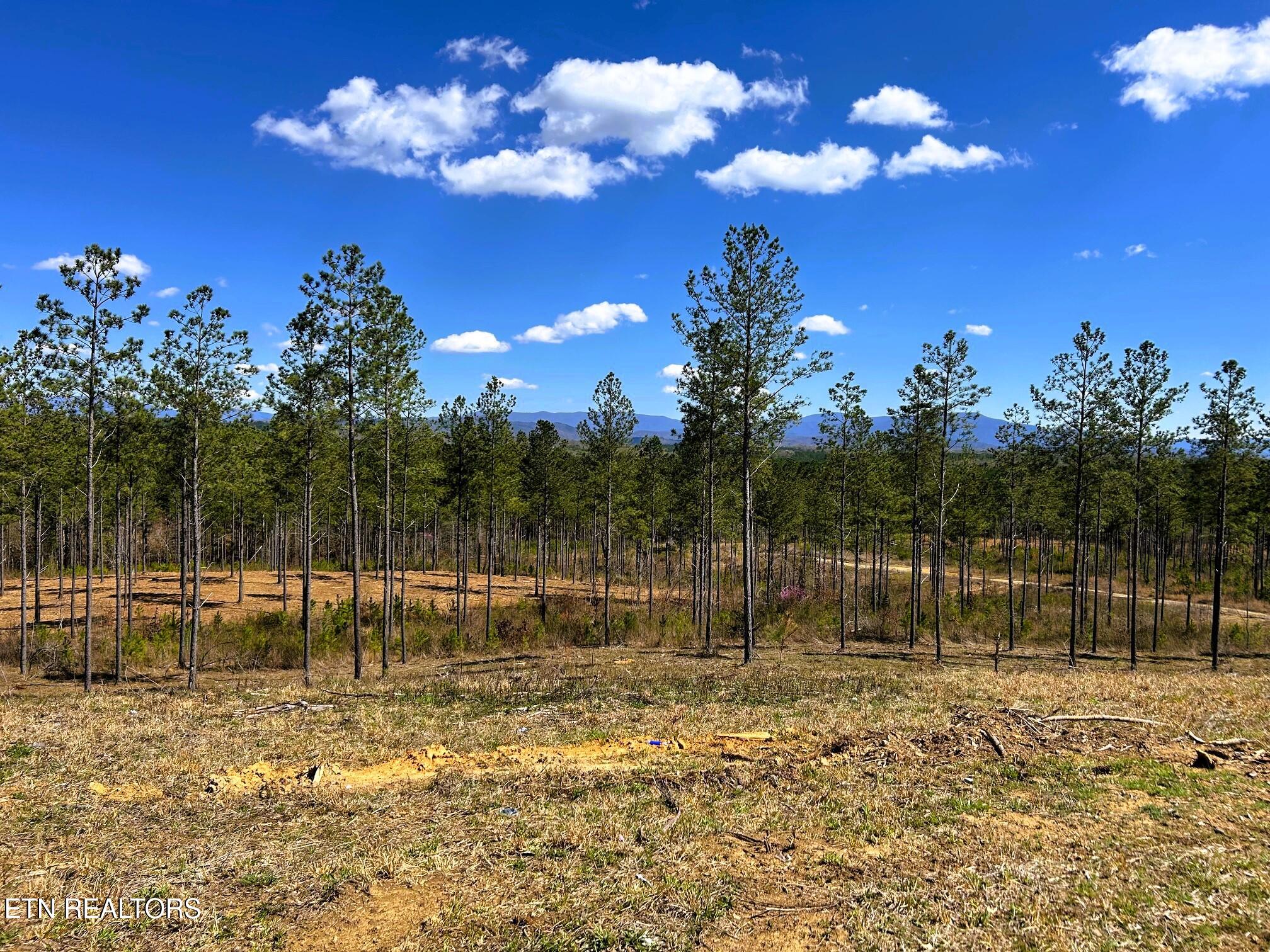 Tract 26A Hughes Lake Road SE