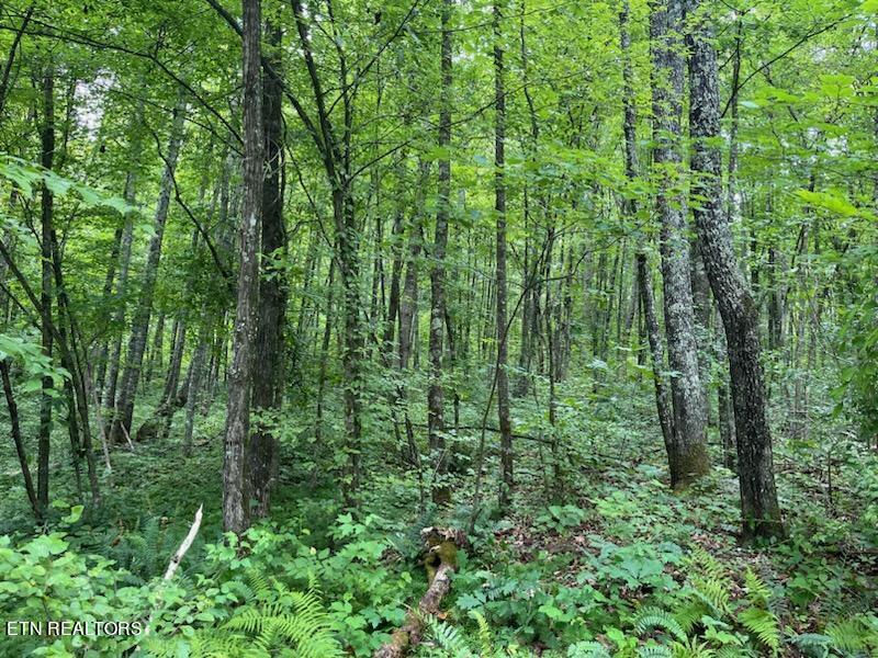 Kettle Hollow Rd