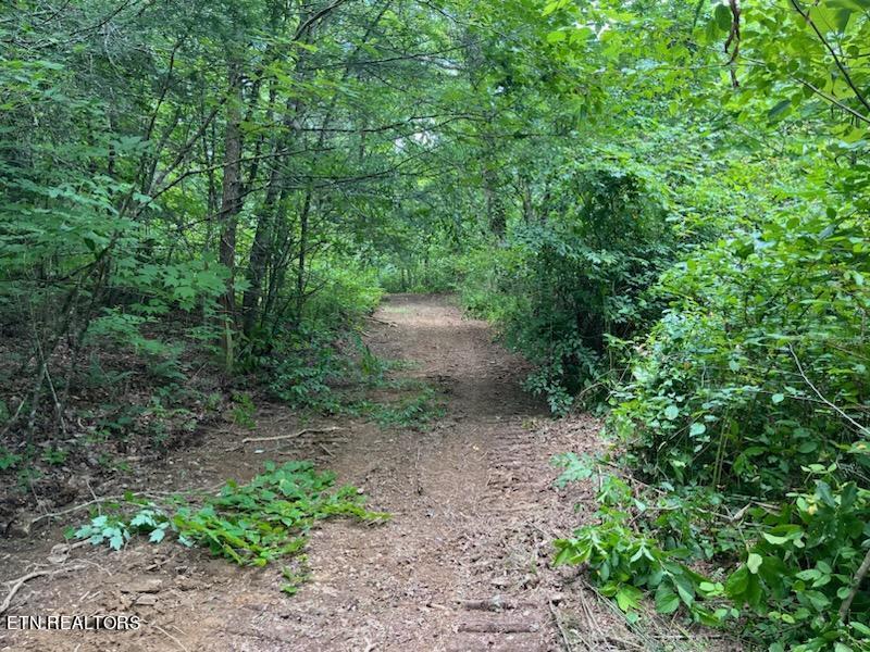 Kettle Hollow Rd