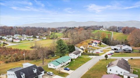 Tiny photo for 168 Thelma Circle, Jacksboro, TN 37757 (MLS # 1333787)