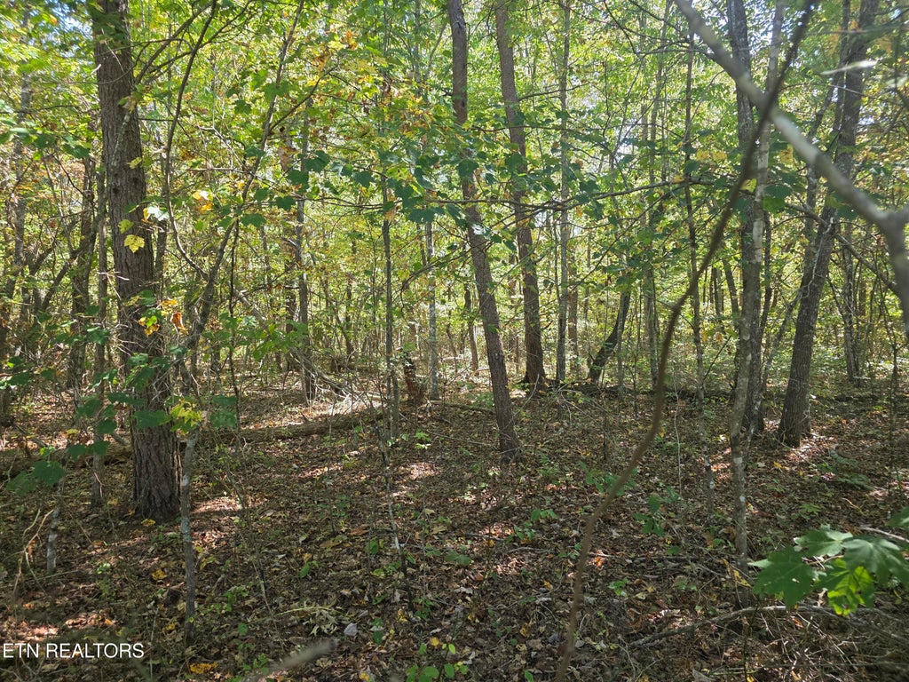 Photo of 7 Cumberland Lakes Drive, Monterey, TN 38574 (MLS # 1357819)