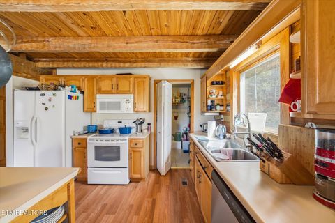 Tiny photo for 250 Highland Trace, Sharps Chapel, TN 37866 (MLS # 1336017)